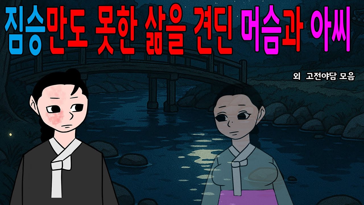 3시간 순삭] 