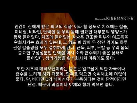 치즈의 효능