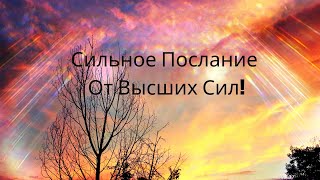 🌺 Что Высшие Силы Хотят Вам Сказать Сегодня? 🌺 Таро Онлайн 🌺