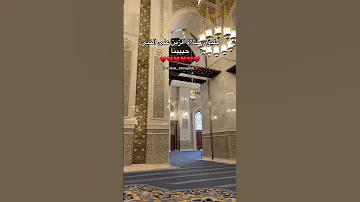 مليون صلاة الزين على النبي حبيبنا 