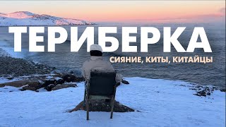 Териберка за 24 часа: сияние, киты и что нужно знать перед поездкой на крайний север✨