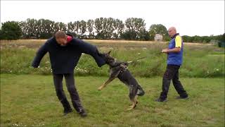 Download Lagu Megy protection work MP3