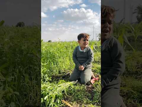 الحاج بذره وعلي