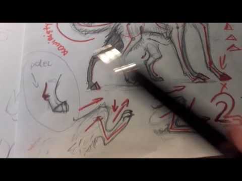 Wideo: Jak Narysować Wilka Etapami