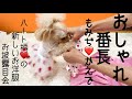 【激安可愛いドッグウェア】ハート柄がかわゆ過ぎる‼️SHEIN  おしゃれ番長‼️もみちゃん&かえちゃんの新しいお洋服お披露目会☺️