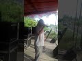 Download Ajura Band Et Parit Baru Selakau Ajura Band Et Parit Baru Selakau