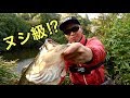 【バス釣り】池の最深部で爆湧き⁉︎入れ食い祭りでまさかの!
