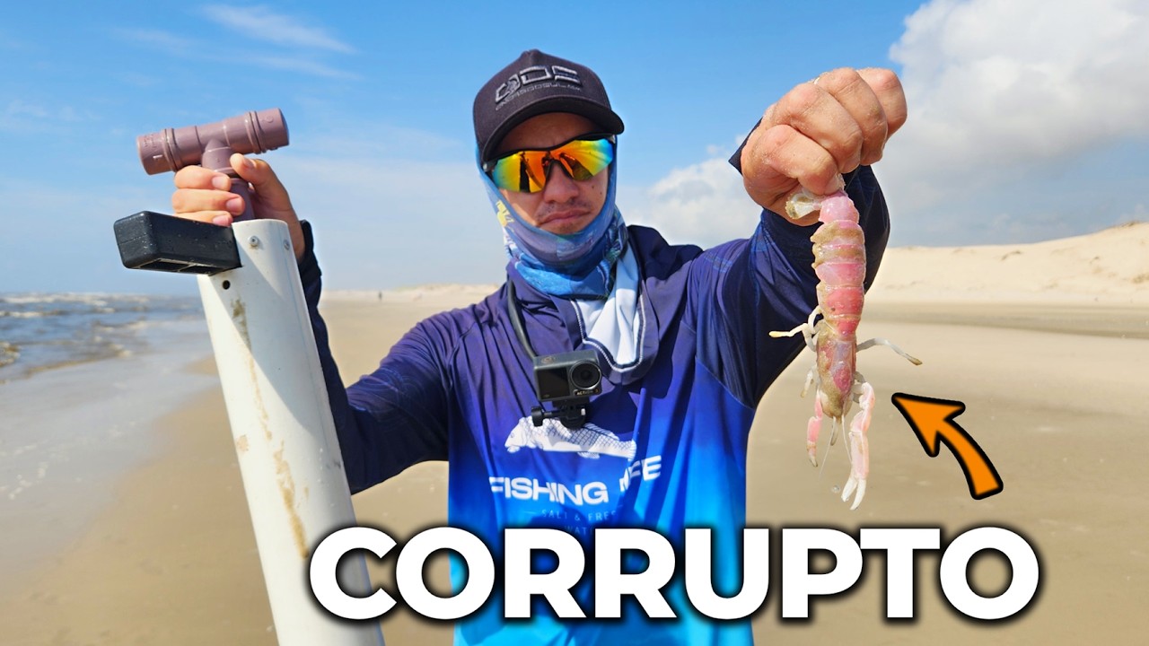 Aproveitei a MARÉ BAIXA para garantir a 