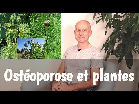Vidéo: Plantes Pour Le Traitement Des Troubles Du Métabolisme Des Graisses