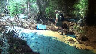 Oak Island Treasure Found Near The Money Pit March 14, 2020