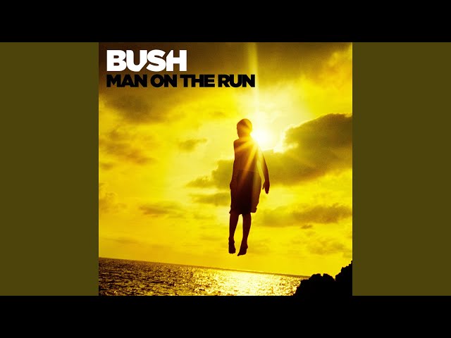 Bush - The Gift