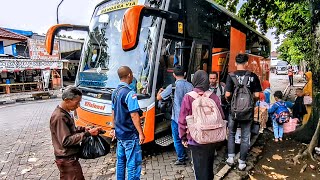 EFISIENSI, MASIH JADI IDOLA DI SEGALA RUTE! DRIVER BUSRO + KERNET BAIM