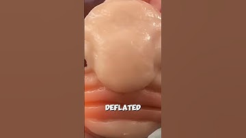 Blobfish Truth The World’s Ugliest Fish Is a Lie!