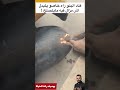 رأيكم في هاد الحرايفي ههه #ترند #كوميديا #فيديو #مضحك #حرفة