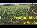 Importancia de la profundidad del suelo para los cultivos