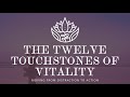 The TWELVE TOUCHSTONES of Vitality ::  Moving from Distraction to Action!