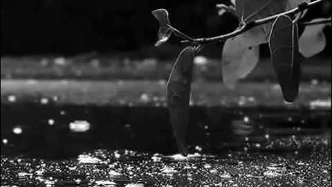 أروع تلاوة بصوت مجهول تجعل عيناك تذرف