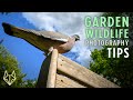 Garden wildlife PHOTOGRAPHY TIPS