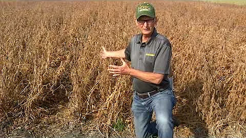 Broadcasting Cover Crops into Soybean