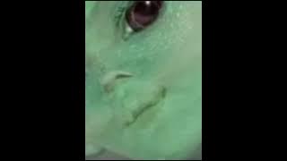 Sheryl Sheinafia - bye (Official Music Video)