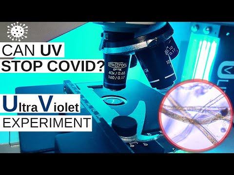 Can Ultraviolet UV Light Sanitize CoronaVirus | UV Sterilizer Experiment