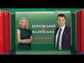 День Соборності, референдум в ОРДЛО, епоха Байдена та санкції США | Борковський & Валевська