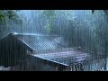 Reduce Symptoms of Insomnia with Heavy Rain & Loud Thunder Awakens the Night on Metal Roof in Forest