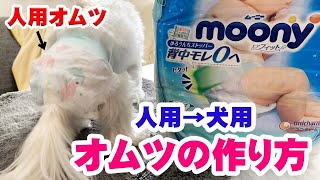 【災害時にも使える】愛犬のオムツを人用オムツで代用したら完璧だった！【吸水力抜群】