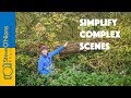Film Photography - Crop In and Simplify Compositions