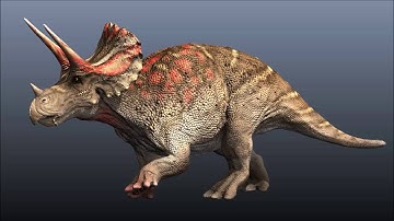 Triceratops horridus Walk-cycle