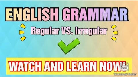 Regular and Irregular Plural Nouns ✨