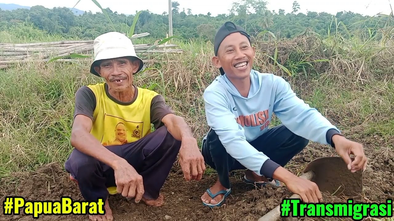 MERANTAU DEMI KEBUTUHAN HIDUP. #kehidupanseharihari #wargatransmigrasi #papuabarat 