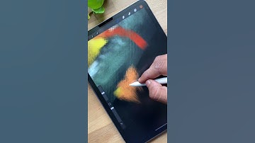 How to paint a Bird on procreate #shorts #procreatedrawing #digitalart #ipadpro #btsshorts