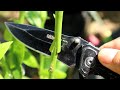 Wow..Awesome! New Shape Grafting Method On Fruit Tree | Inspiration Today