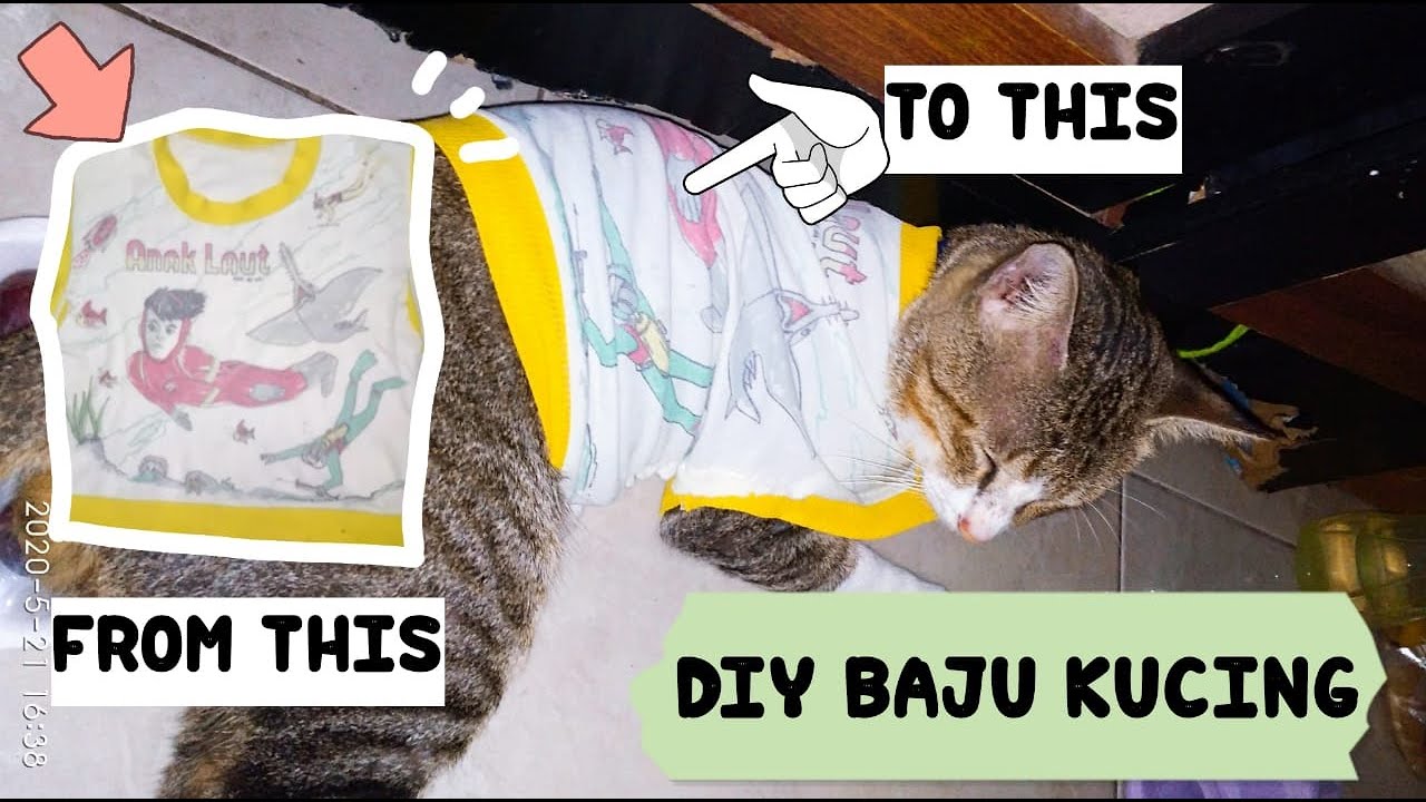 BIKIN BAJU  KUCING DARI  BAJU  BEKAS  DIY CAT CLOTHES YouTube