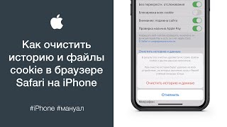 Как очистить историю, кэш и файлы cookie в браузере Safari на iPhone