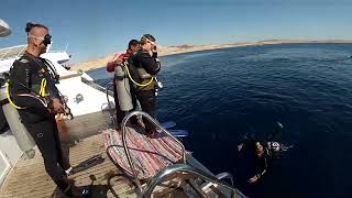 Egypt. Snorkeling with fish in the Red sea at Sharm-El-Sheikh.А теперь за рыбами!Рифы Красного моря.