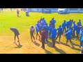 Super eagles surrender dancers challenge 