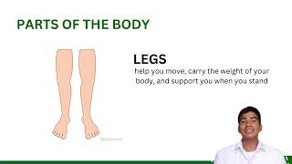 A Video Presentation of Physical Education Content in Grade 1 - ( Body Awareness and Body Movements.