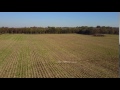 Free 4K Aerial Stock Footage of fresh cut corn farmland