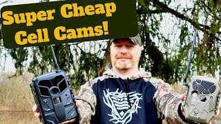 Best Cheap Cellular Trail Camera    Budget Cell Cam Under $80