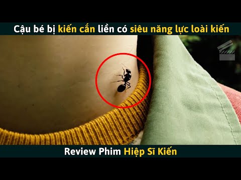 [Review Phim] Cậu Bé Bị Kiến Cắn Liền Có Siêu Năng Lực Của Loài Kiến