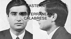 ITALIANS- THE DIFFERENTS PHENOTYPES OF ITALY.