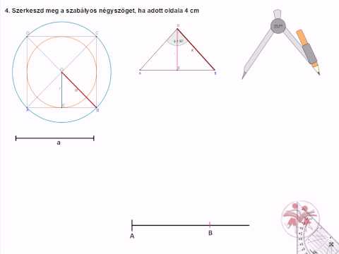 Videó: Hogyan Lehet Négyzet Alakú Egy Gyökér