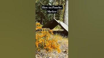 How To Build A Poncho Shelter - #bushcraft #survival #pnw