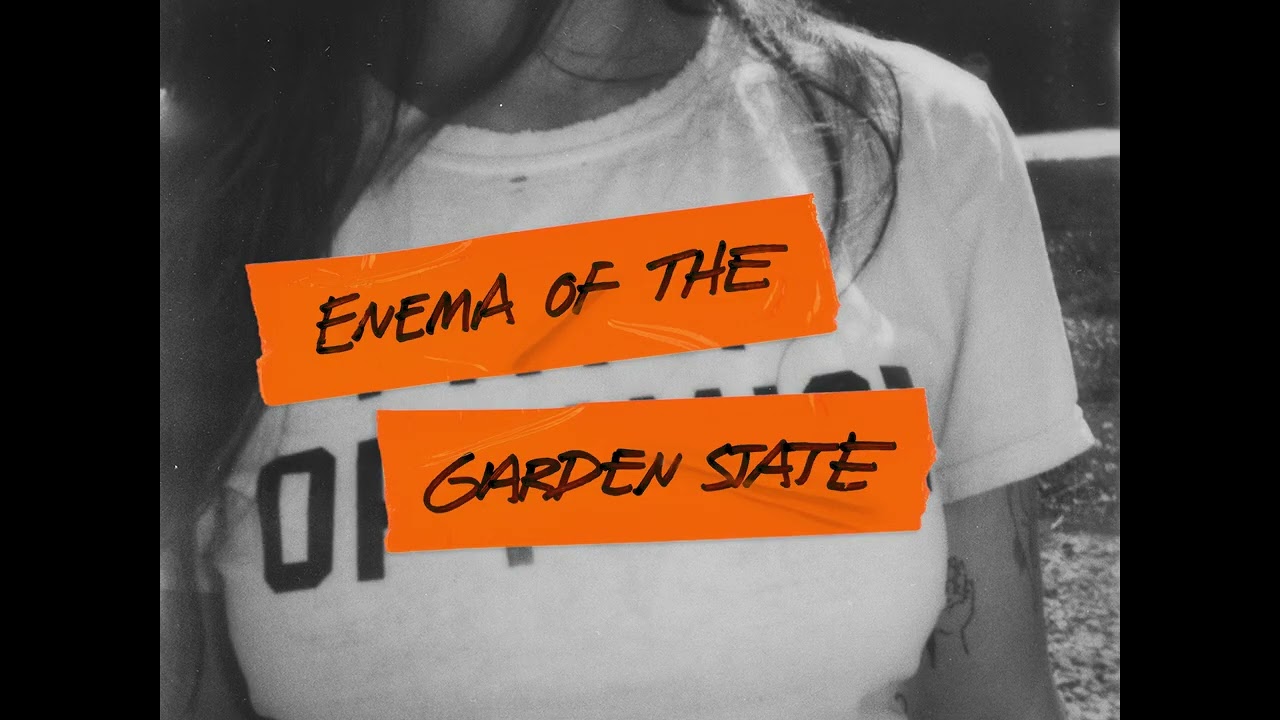 Madi Diaz - "All The Small Things" (blink-182 Cover) [Full Album Stream]