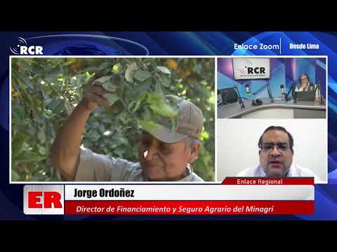 ENTREVISTA A JORGE ORDÓÑEZ, DIRECTOR DE FINANCIAMIENTO Y SEGURO AGRARIO DEL MINAGRI