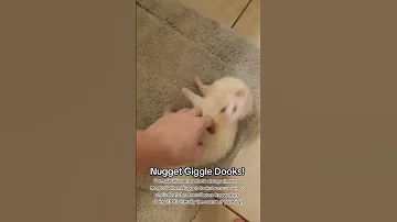 Ferret Sounds Of Pure Joy 