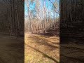 sounds of the woods in elberton ga #soothing #georgia #nature