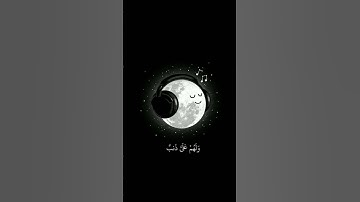 #القرآن_الكريم #تلاوات #تلاوة_خاشعة #اسلام_صبحي من سورة الشعراء